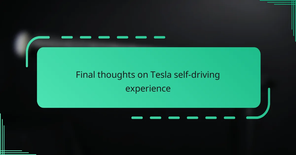 Final thoughts on Tesla self-driving experience