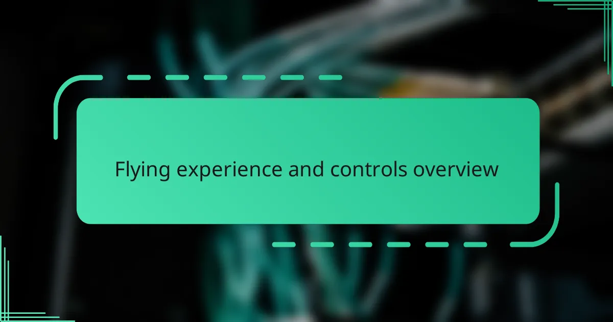 Flying experience and controls overview