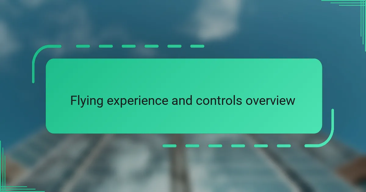 Flying experience and controls overview