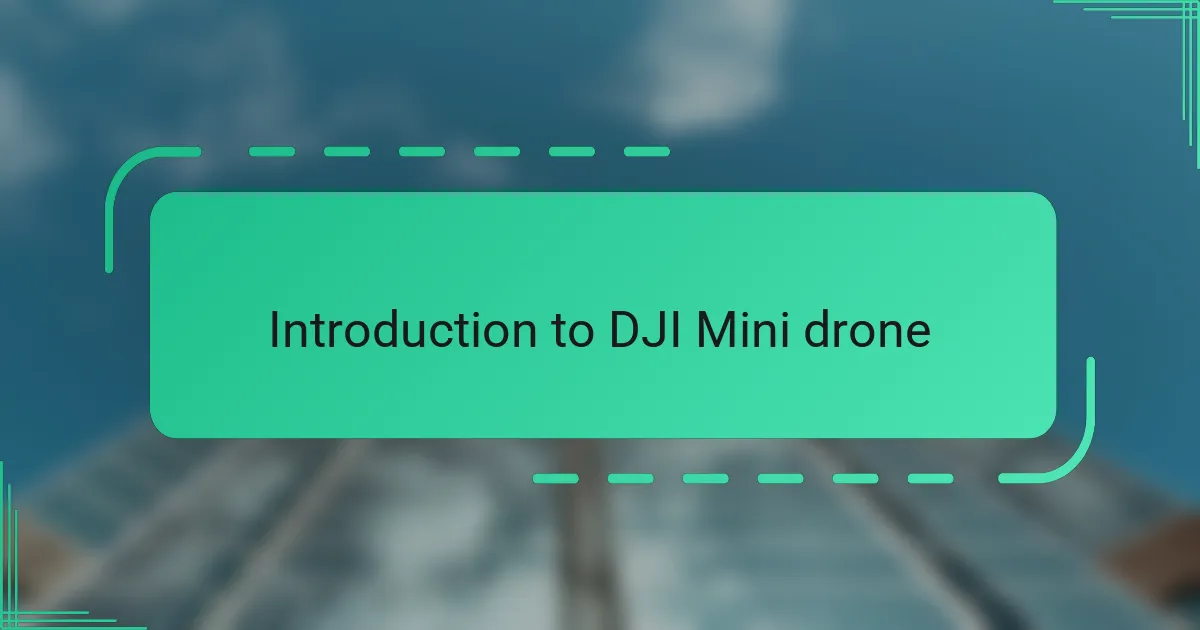 Introduction to DJI Mini drone