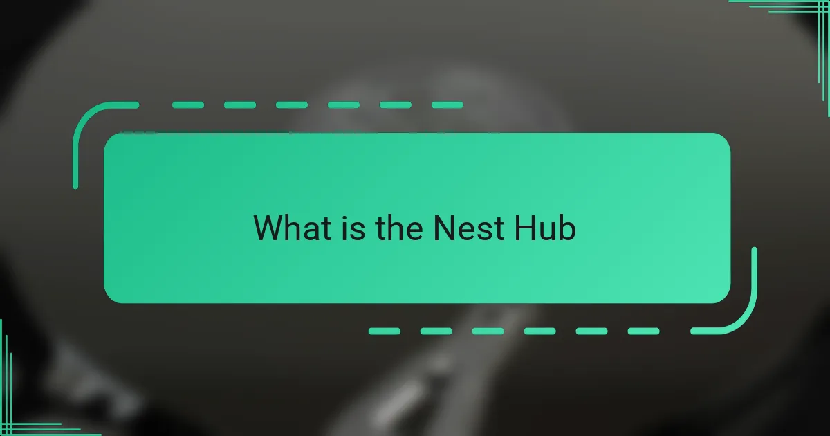 What is the Nest Hub